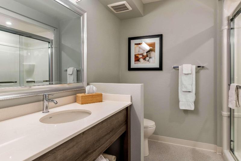Стандартный Номер Кровать Кинг, Quality Inn & Suites Amsterdam