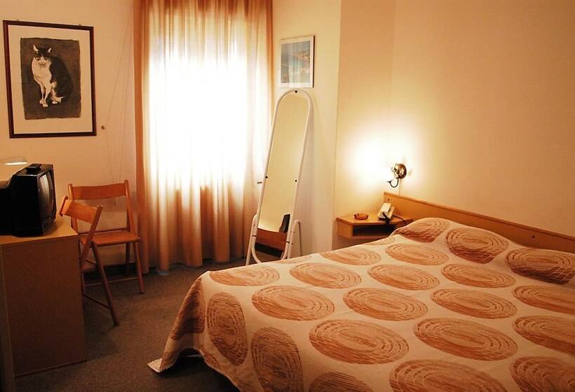 غرفة قياسية, Colibrì