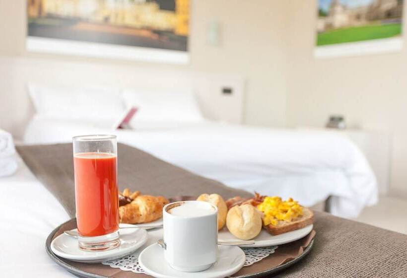 스탠다드 트리플 룸, Green Class Hotel Candiolo