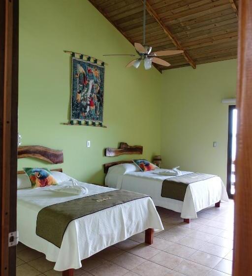 سوییت, Bahia Taitza