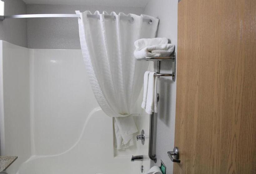 스탠다드 룸, Microtel Inn & Suites By Wyndham Albertville