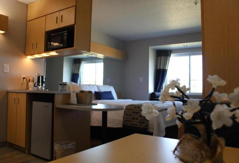 스탠다드 스튜디오, Microtel Inn & Suites By Wyndham Albertville