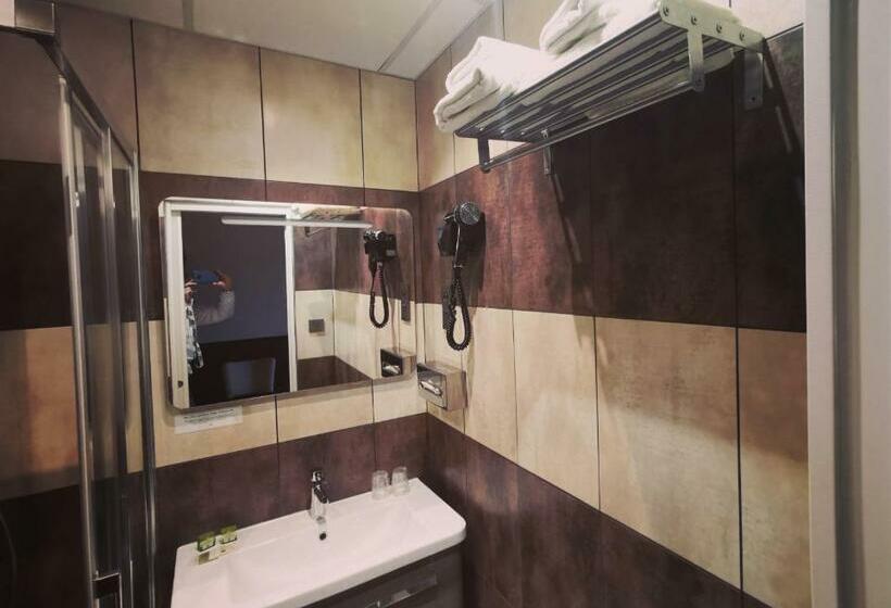 اتاق استاندارد برای معلولان, Logis Hotel Des Bains