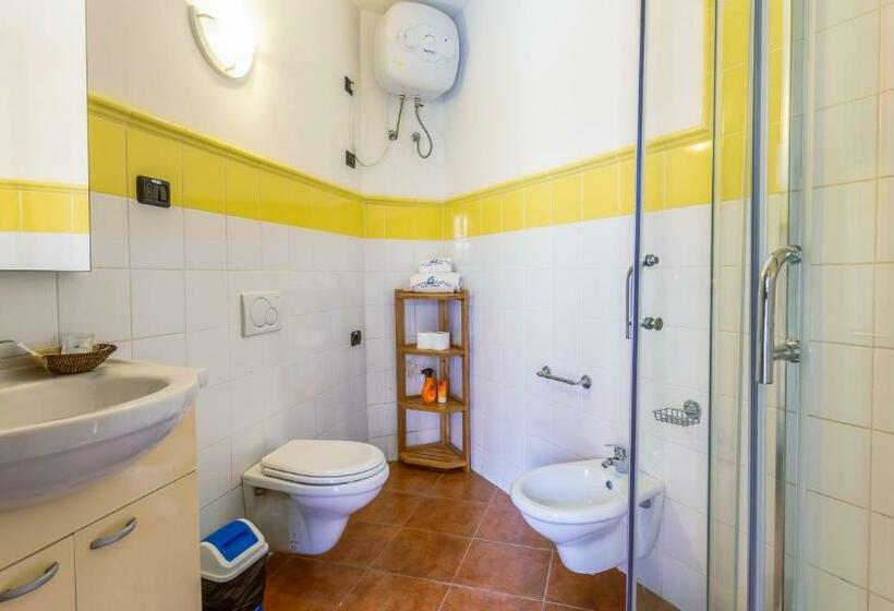 استودیوی استاندارد, Porto Antigo