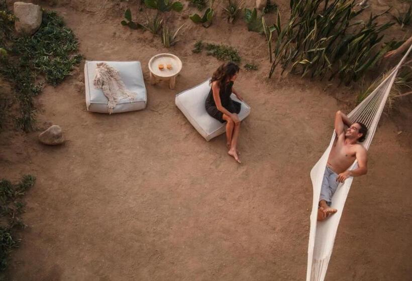 スイート, Paradero Todos Santos   Exclusive Experiences Included