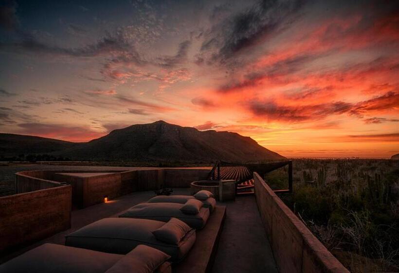 マスタールーム, Paradero Todos Santos   Exclusive Experiences Included