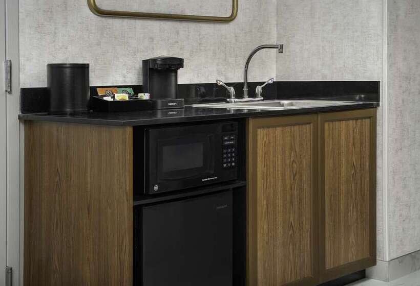 身障者適用スイートルーム, Embassy Suites Montréal By Hilton