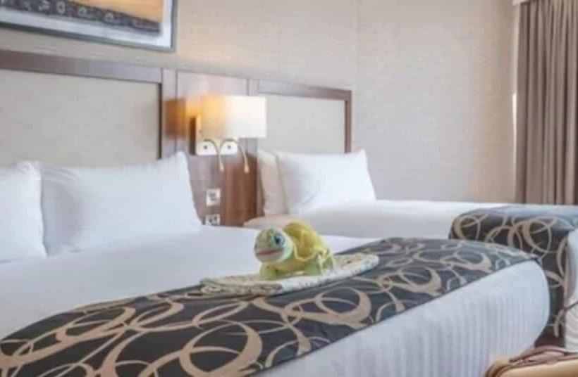 اتاق خانوادگی, Clayton Hotel Galway