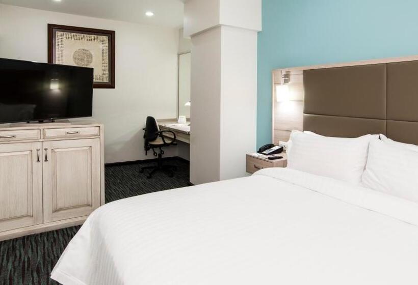 スイート, Holiday Inn & Suites Mexico Zona Reforma, An Ihg