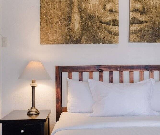 سوییت جونیور, Los Agaves Hotel Boutique