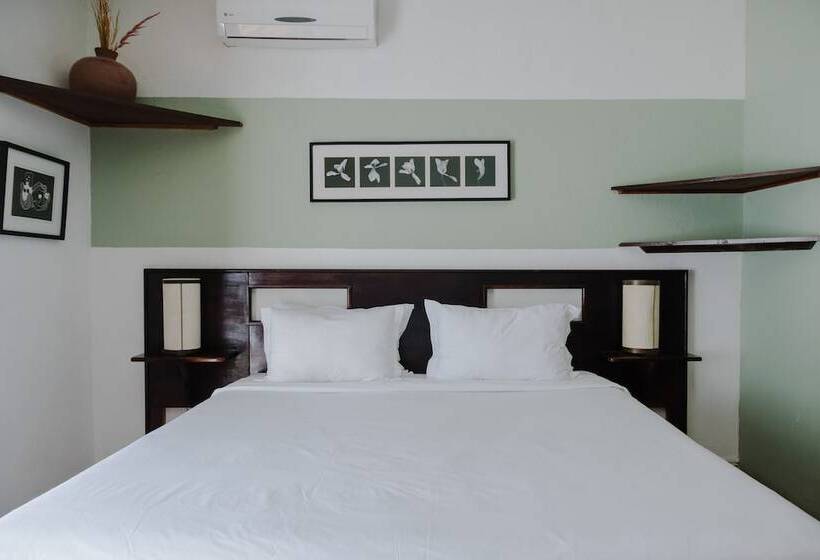 سوییت جونیور, Los Agaves Hotel Boutique