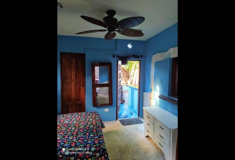 スタンダードルーム, Room In Lodge   Method Living Tropical Edition