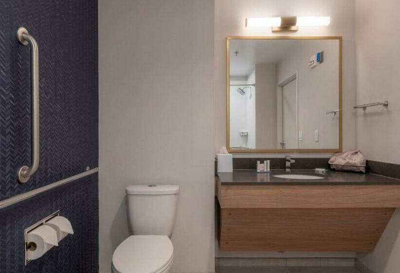غرفة قياسية سرير كينج, Fairfield By Marriott Inn & Suites Revelstoke