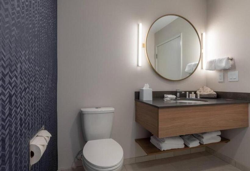 جناح سرير ملكى, Fairfield By Marriott Inn & Suites Revelstoke
