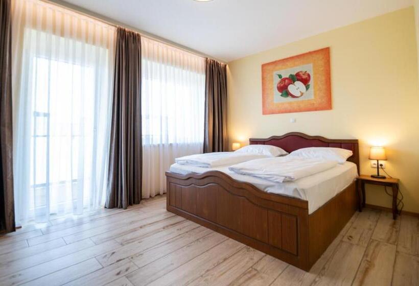 스탠다드 룸, Vulkan Residenz Hotel   Self Check In