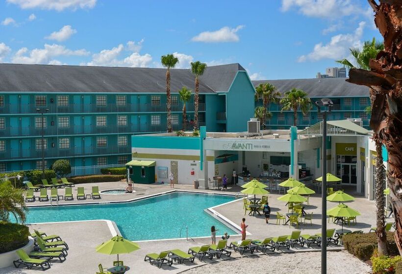 프리미엄 스위트, Avanti International Resort