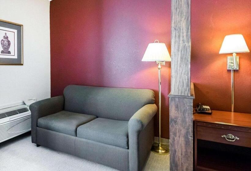اتاق استاندارد با تخت بزرگ, Quality Inn & Suites