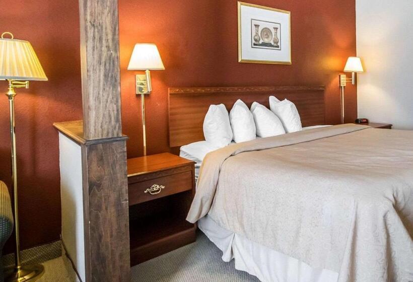 اتاق استاندارد با تخت بزرگ, Quality Inn & Suites