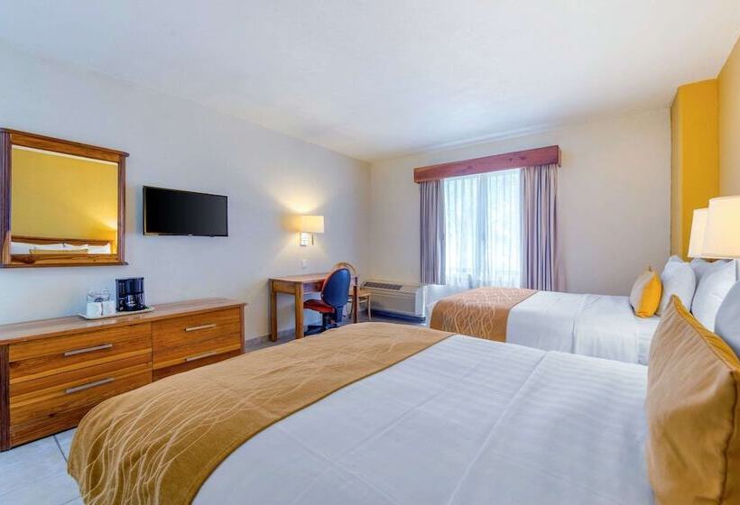 اتاق استاندارد با 2 تخت دوبل, Comfort Inn Tampico