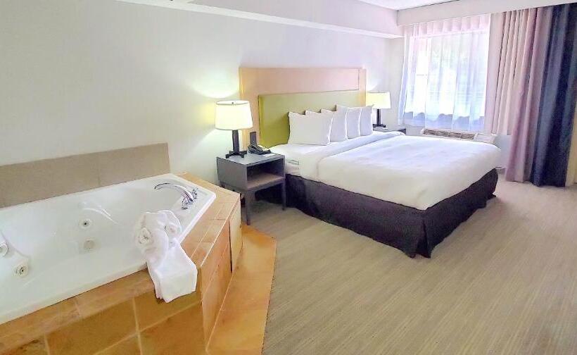 스탠다드 룸 킹사이즈 침대, Country Inn & Suites By Radisson, Jonesboroughjohnson City West, Tn