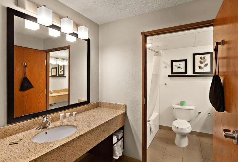 套房, Country Inn & Suites By Radisson, Jonesboroughjohnson City West, Tn