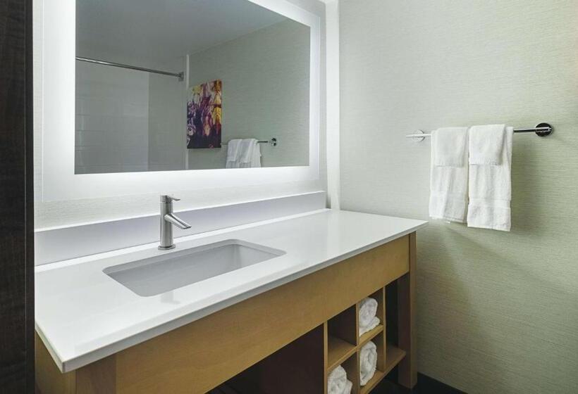 이그제큐티브 룸 킹사이즈 침대, La Quinta By Wyndham Orange County Airport