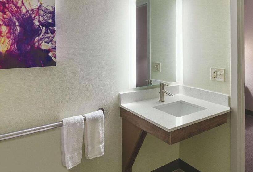 장애인을 위한 킹사이즈 침대 스탠다드 룸, La Quinta By Wyndham Orange County Airport