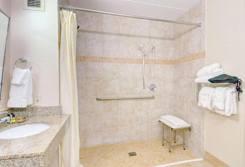 장애인을 위한 킹사이즈 침대 스탠다드 룸, Best Western  Plus Waltham Boston