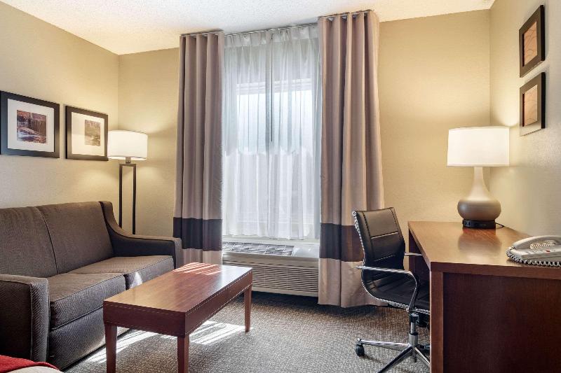 Номер Стандарт, Comfort Inn & Suites Suwanee  Sugarloaf