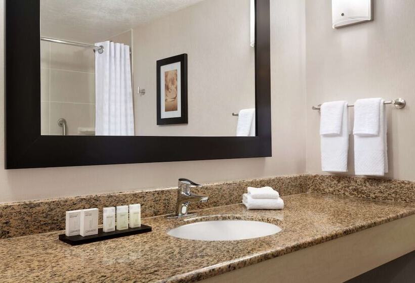 סוויטה, Embassy Suites By Hilton Convention Center Las Vegas