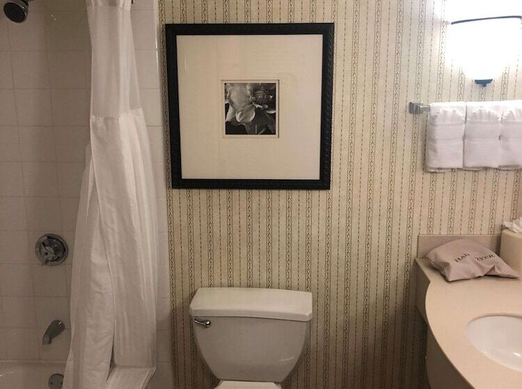 Standard Værelse 2 Dobbeltsenge, Hilton Garden Inn Addison