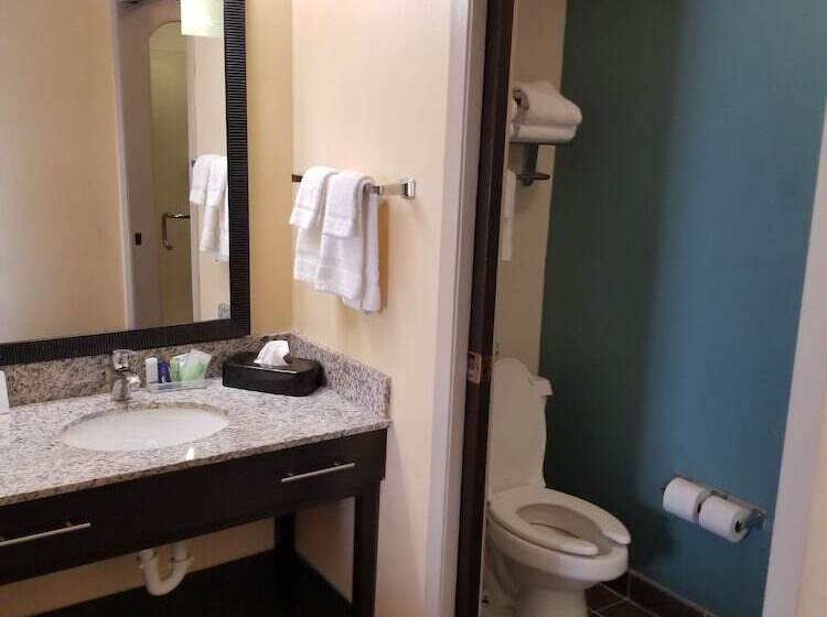 Standard Szoba 2 Franciaággyal, Sleep Inn Springfield West