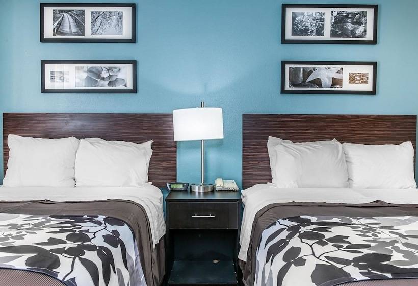Standard Szoba 2 Franciaággyal, Sleep Inn Springfield West
