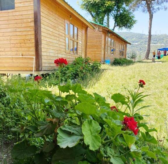 오두막, Golden Valley Cottages, Chail