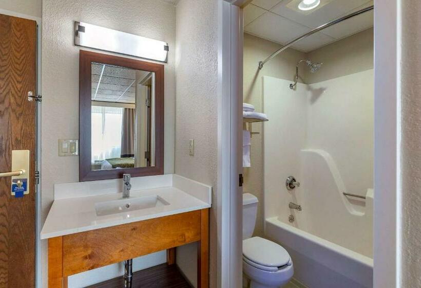 Номер Стандарт, Comfort Inn & Suites Gateway To Glacier National Park