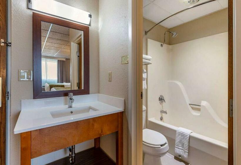 Номер Стандарт, Comfort Inn & Suites Gateway To Glacier National Park
