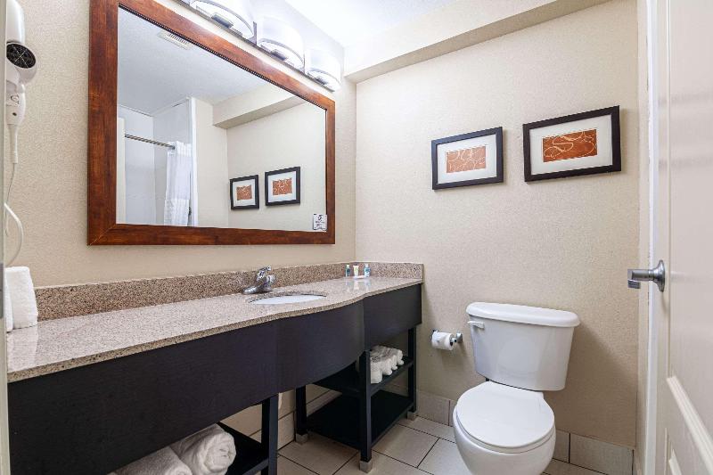Люкс Кровать Кинг, Comfort Suites Morrow Atlanta South