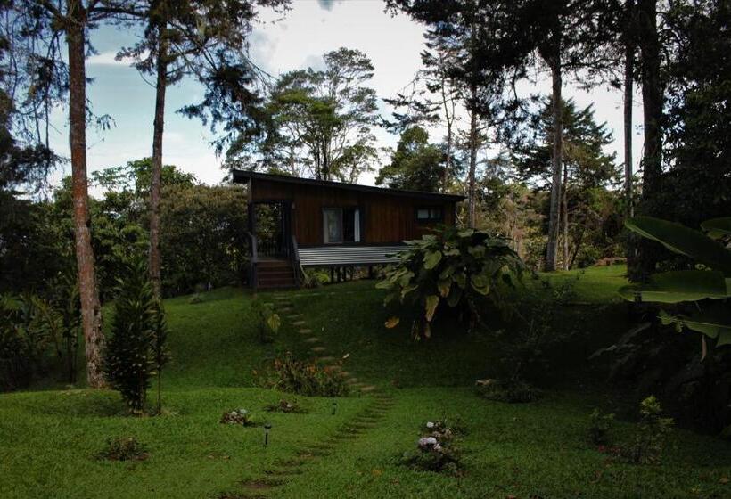 اتاق لوکس, The Lodge At Reventazon River Mountain Ranch