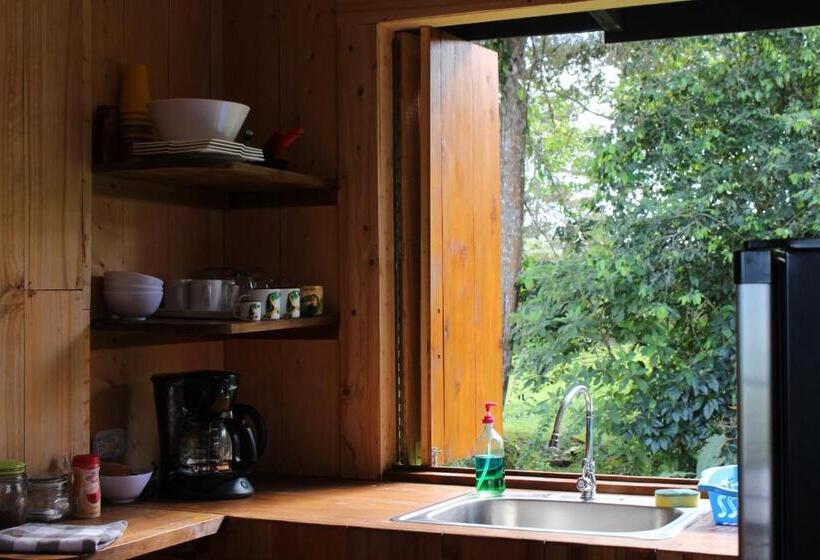 اتاق لوکس, The Lodge At Reventazon River Mountain Ranch