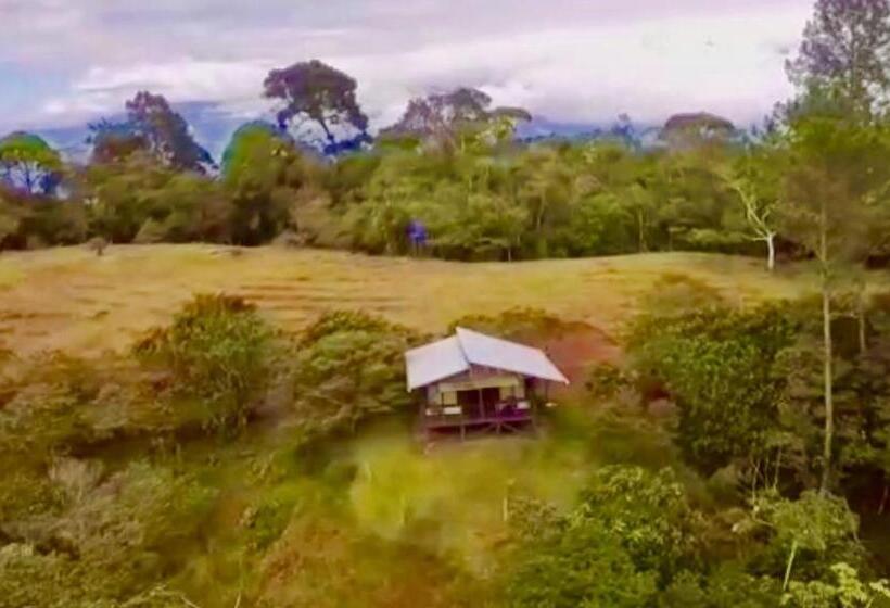 اتاق استاندارد با چشم‌انداز کوهستان, The Lodge At Reventazon River Mountain Ranch