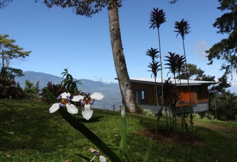 اتاق لوکس, The Lodge At Reventazon River Mountain Ranch