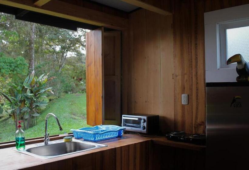 اتاق لوکس, The Lodge At Reventazon River Mountain Ranch