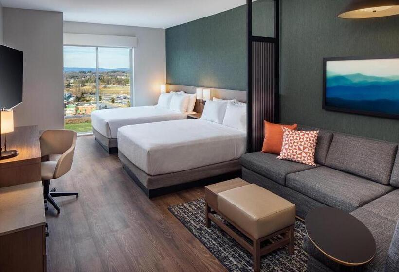 Номер Стандарт 2 Двуспальные Кровати, Hyatt Place Harrisonburg