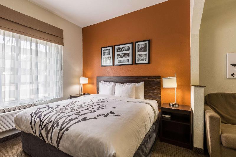 Люкс Кровать Кинг, Sleep Inn & Suites Stafford  Sugarland