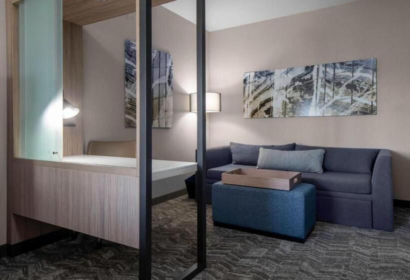 Люкс, Springhill Suites By Marriott Charlotte Huntersville