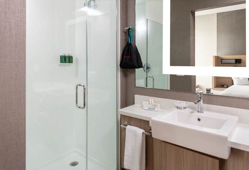 Люкс, Springhill Suites By Marriott Charlotte Huntersville