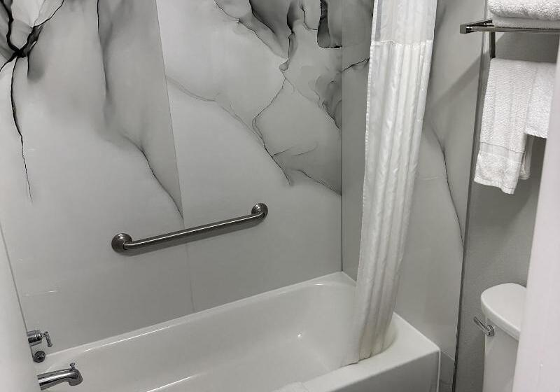 스탠다드 룸 킹사이즈 침대, Freer Executive Inn And Studios