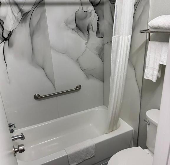 스탠다드 룸 킹사이즈 침대, Freer Executive Inn And Studios
