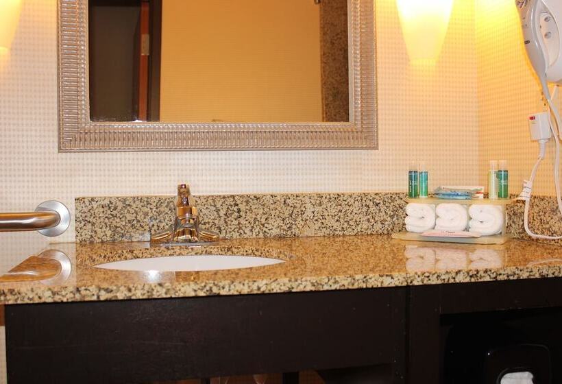 Номер Стандарт, Holiday Inn Express Hotel & Suites Austell Powder Springs, An Ihg