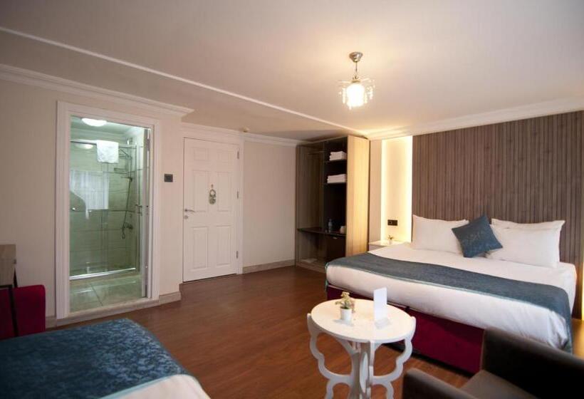 اتاق لوکس سه تخته, Genius Hotel Istanbul
